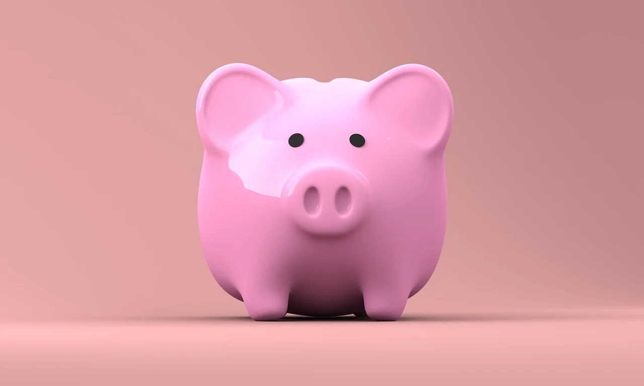 rosa Sparschwein